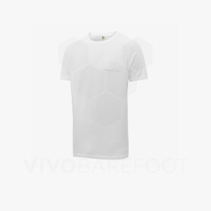 Camiseta Vivobarefoot Rapanui Hombre Blancas | AR164EI