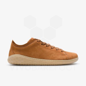 Zapatillas Lifestyle Vivobarefoot Geo Court III Mujer Marrones | AR292GY