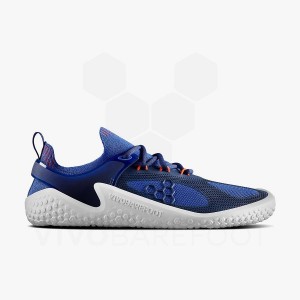 Zapatillas Running Carretera Vivobarefoot Motus Strength Hombre Azules Azul Marino Naranjas | AR043VJ