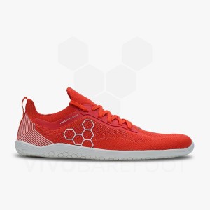 Zapatillas Training Vivobarefoot Primus Lite Knit Hombre Rojas | AR100QC