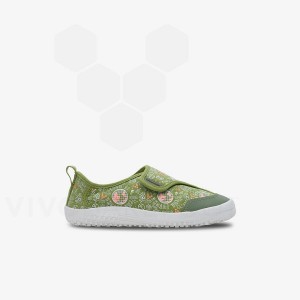 Zapatos Vivobarefoot GAIA Niños Verde | AR387PV