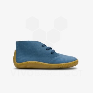 Zapatos Vivobarefoot Gobi Addis Juniors Niños Indigo | AR431XG