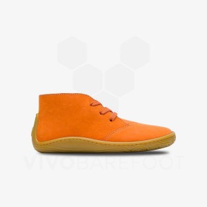 Zapatos Vivobarefoot Gobi Addis Juniors Niños Naranjas | AR432WH