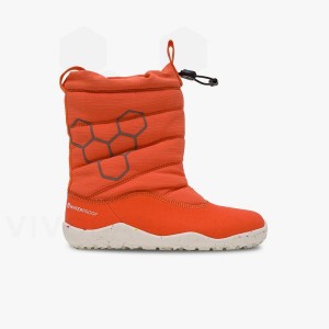 Zapatos Vivobarefoot Lumi FG Niños Rosas | AR398EI