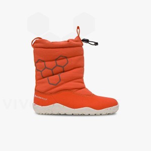 Zapatos Vivobarefoot Lumi FG Preschool Niños Rosas | AR401BA