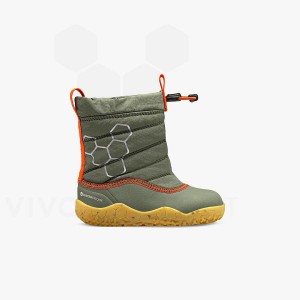 Zapatos Vivobarefoot Lumi FG Toddler Niños Verde | AR403ZD