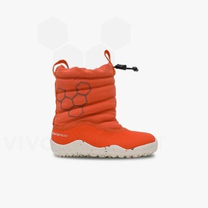 Zapatos Vivobarefoot Lumi FG Toddler Niños Rosas | AR404YF