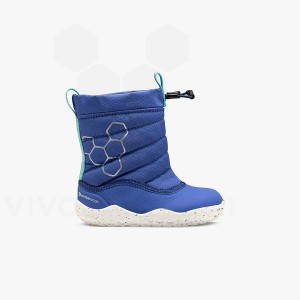 Zapatos Vivobarefoot Lumi X Arctic Angels Toddler Niños Azules | AR422GY