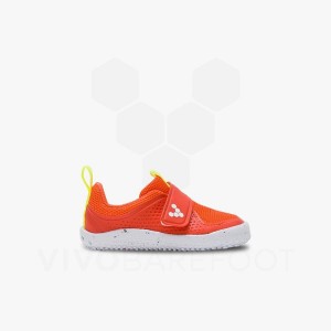 Zapatos Vivobarefoot Primus Deporte III Toddler Niños Rosas | AR371FU