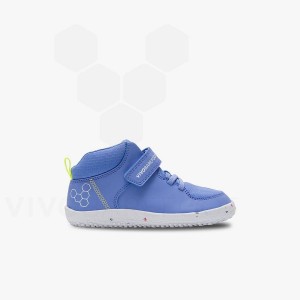 Zapatos Vivobarefoot Primus Ludo Hi Niños Azules | AR411RX