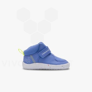 Zapatos Vivobarefoot Primus Ludo Hi Toddler Niños Azules | AR407VJ