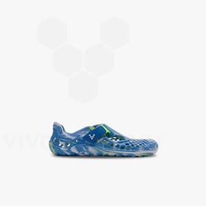 Zapatos Vivobarefoot Ultra Bloom Preschool Niños Azules Turquesa Claro | AR390MM